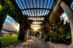 Panoramic view of a pergola surrounded by greenery