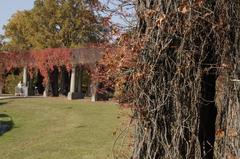 Pergola in a garden with flowers