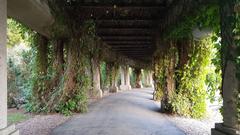 Pergola in Wrocław