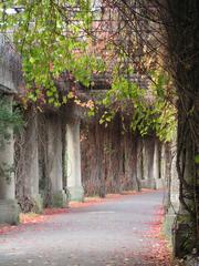 Pergola in Wrocław