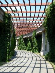 Pergola in autumn