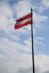 Flag of Brno waving in the wind