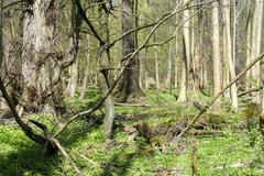 Natura 2000 protected area landscape