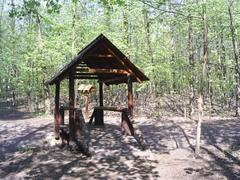 Lasek Bielański Nature Reserve in Warsaw, Poland