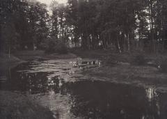 pond in Eläintarha area in Helsinki