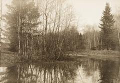 A pond in the Eläintarha area on the Alppila side