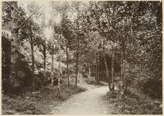 A pathway leading to Alppila restaurant in Eläintarha, black and white photo