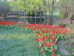 Scenic view of landscaped gardens in Alppipuisto Park, Helsinki