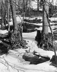 Eläintarha Alppila Alppipuisto Töölöjoen former riverbed photograph