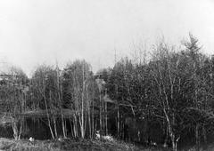 Alppipuisto park with pond and Keisaripaviljonki pavilion in the background