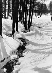 Eläintarha, Alppila ancient Töölönjoki riverbed in black and white