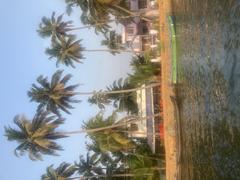 Backwaters of Alleppey in Kerala, India