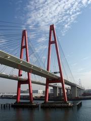 Meiko Nishi Bridges in Nagoya at sunset