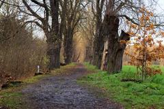 Pathway connecting PP Bažantnice in Satalice with PR Vinořský park