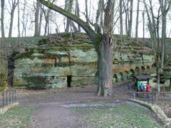 Vinorsky Park Nature Reserve with trees and walking paths