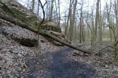 Vinorsky park nature reserve with lush greenery and walking paths