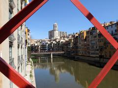 Scenic Riverside View of Girona with Cathedral and Saint Agusti Bridge