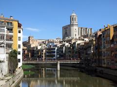 Sant Agustí Bridge and Girona Cathedral view from Peixateries Velles Bridge