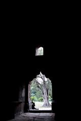 inside view of Bada Gumbad