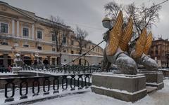 Bankovsky Bridge with griffons in Saint Petersburg, Russia