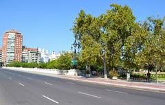 Pont d'Aragó in València