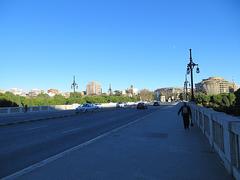 Pont d'Arago bridge panoramic view