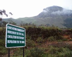 Eravikulam National Park with blooming Neelakurinji flowers and Naikolli Mala peak