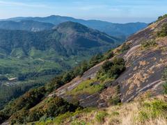 Eravikulam National Park