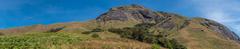 Eravikulam National Park landscape