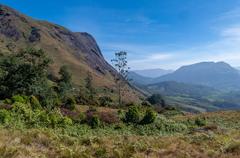 Eravikulam National Park landscape