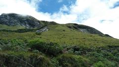 Hills at Eravikulam National Park