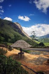 Eravikulam National Park Idukki Kerala India