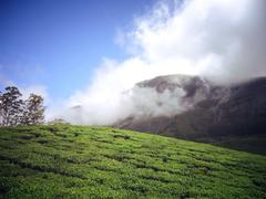 Scenic view of Eravikulam National Park in Kerala