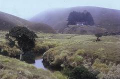 Eravikulam hut in Eravikulam National Park