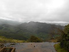 Cold morning at Eravikulam National Park