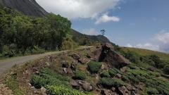 Scenic road in Munnar-Eravikulam National Park