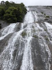 Eravikulam National Park landscape