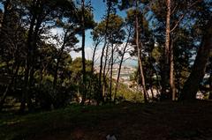 View of Barcelona from Montjuïc towards Rambla de Mar