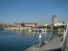 Panoramic view of Barcelona cityscape with Mediterranean Sea in the background