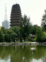 Xiao Yan Ta with geese in the foreground