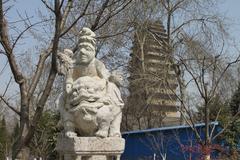 Little Wild Goose Pagoda in Xi'an