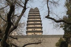 Little Wild Goose Pagoda in Xi'an