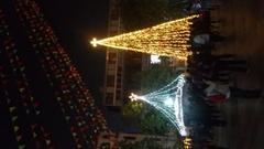 Christmas trees inside Sacred Heart Cathedral in Guangzhou