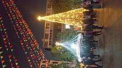 Christmas trees inside Sacred Heart Cathedral at night