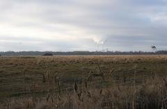 View over Amager Fælled from Ørestaden, Copenhagen with Avedøreværket powerworks in the background