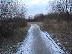 Amager Fælled landscape in winter