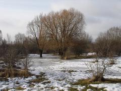 Amager Fælled in winter with snowy landscape