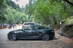 Green Tesla Model S at Muir Woods