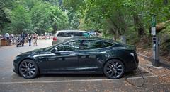 Green Tesla Model S at Muir Woods