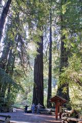 Inside entrance to Muir Woods National Monument